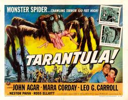 Tarantula