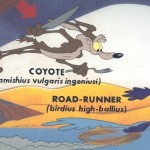 Road Runner