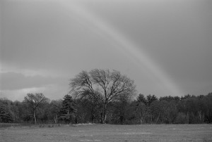 Black and White Rainbow