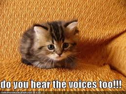 Do you hear the voices too