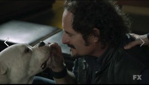 Tig and Dog