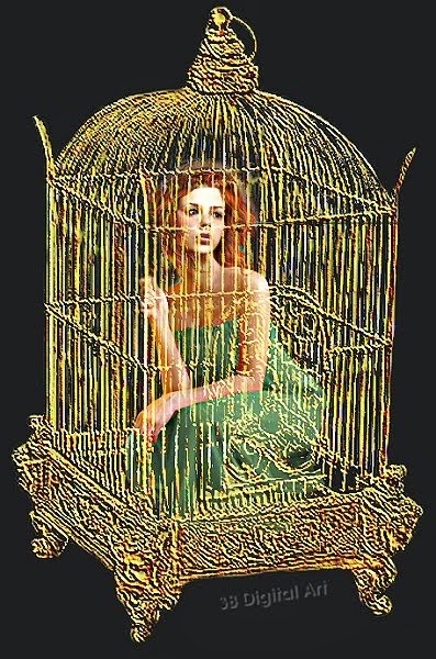 Bird in a Gilded Cage
