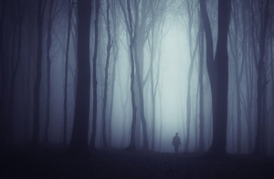 Spooky dark forest