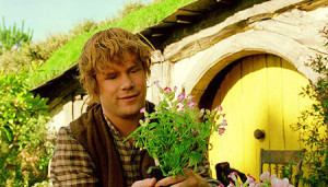 Samwise Gamgee