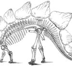 220px-Stego-marsh-1896-US_geological_survey