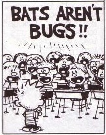 batsarentbugs